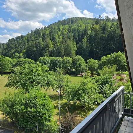 شقة Hirsch Panorama باد ويلباد