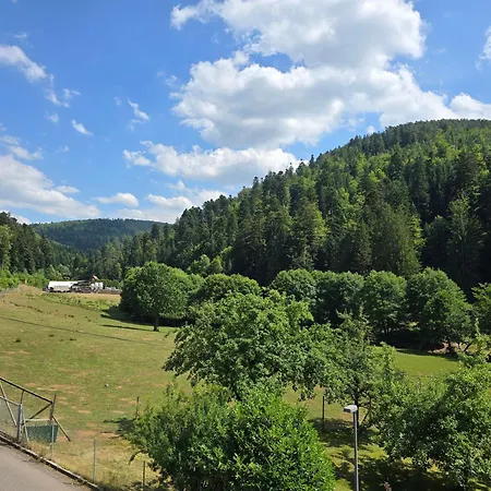 شقة Hirsch Panorama باد ويلباد