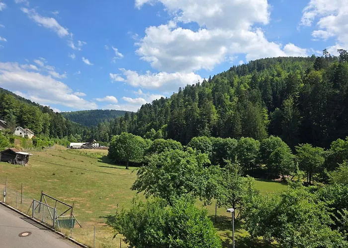 アパート Hirsch Panorama バート・ヴィルトバート